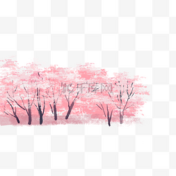 樱花树图片_唯美粉色樱花树
