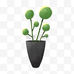 简约盆栽植物图片_绿色的盆栽植物
