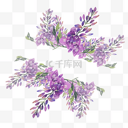 清新紫色装饰花边紫藤花
