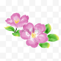 粉色的鲜花装饰插画