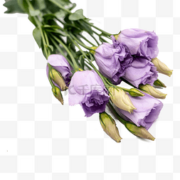 实物鲜花花束图片_紫色龙胆