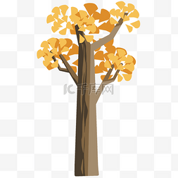 秋天的黄色树叶图片_黄色秋季大树插图