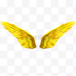 黄色羽毛翅膀