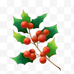 圣诞节装饰品红绿色冬青树枝