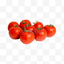 果蔬静物西红柿