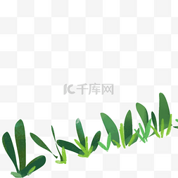 绿色植物叶子免抠图