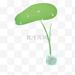 瓶栽植物PNG下载