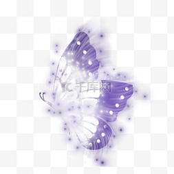 紫色蝴蝶光斑图片_创意蜕变光效蝴蝶