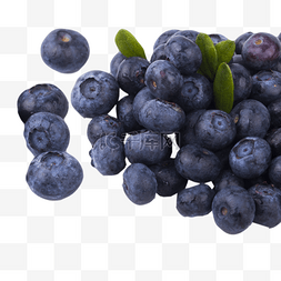 好吃的水果图片_美味好吃的蓝莓纯天然