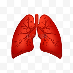 肺部吸氧图片_手绘人体器官肺插画