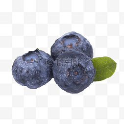 美味好吃营养蓝莓
