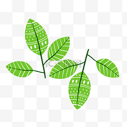 小清新植物叶片图片_绿色植物叶子手绘纹理透明底免抠