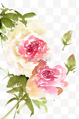 艳丽的花朵图片_美丽的玫瑰花