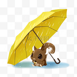 秋季雨伞下的松鼠