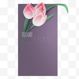 生日花框图片_紫色花卉邀请函文本框