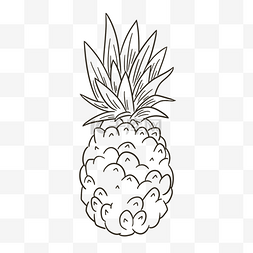 线描菠萝图片_线描水果菠萝