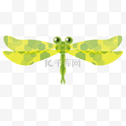 黄绿色花纹图片_黄绿色花纹蜻蜓