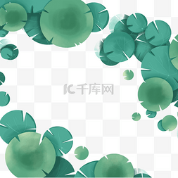 绿色植物浮萍