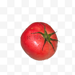 带水珠的水果图片_带水珠的红色番茄