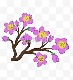 漂亮的紫色樱花插画