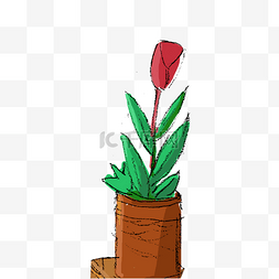 红色花朵盆景图片_绿色的盆栽植物免抠图