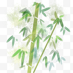 绿色竹子竹竿竹叶