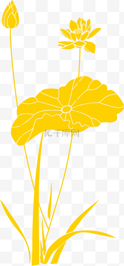 黄色的荷叶免抠图