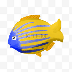 海鲜小鱼插画图片_海洋生物小鱼插画