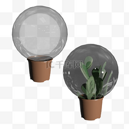 植物玻璃球图片_仙人掌装饰玻璃球
