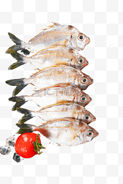 油叶鱼海鲜食材