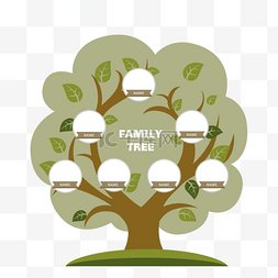 手绘分类图片_手绘简约清晰家族家谱树形式表