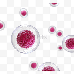 3d透明素材图片_粉红色细胞3d元素