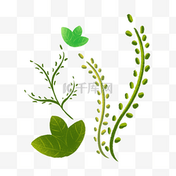 绿色手绘植物图片_手绘清新水彩植物叶子图案素材