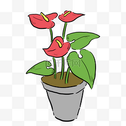 红色植物花朵花盆元素