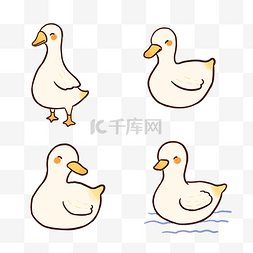 黄焖鸭子煲图片_小鸭鸭子贴纸