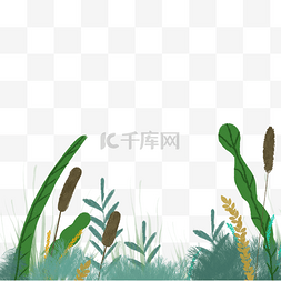 绿色芦苇图片_绿色植物芦苇元素