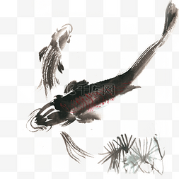 鱼写实手绘图片_中国风自由自在的鱼