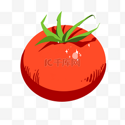 叶子西红柿图片_红色西红柿