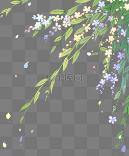 柳树花枝