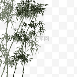 新中式绿色竹子