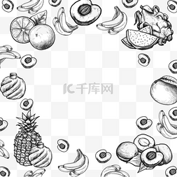 线描菠萝图片_热带水果手绘线条