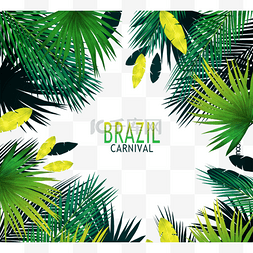 巴西巴西巴西图片_巴西狂欢节热带植物离开边界