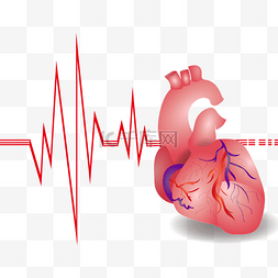 心脏心电图免费图片_心脏医疗心电图