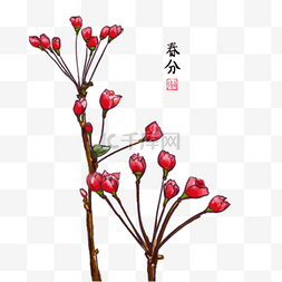 三月桃花图片_二十四节气之春分