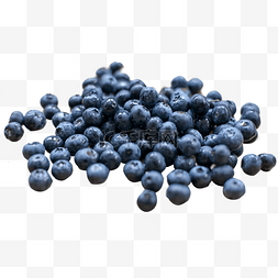 蓝莓摄影图片_蓝莓浆果花青素摄影