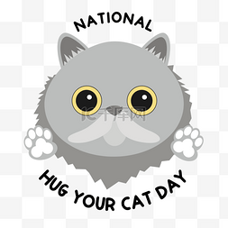 猫拥抱图片_慵懒灰色national hug your cat day
