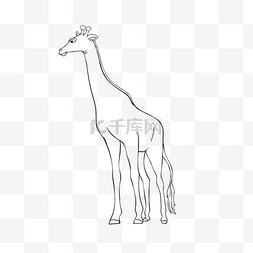 giraffe clipart black and white 线稿长颈