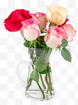 女神节花瓶玫瑰花