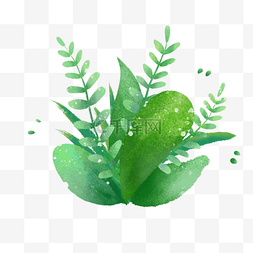 植物插画免抠图图片_夏季清新绿色植物水彩植物png免抠