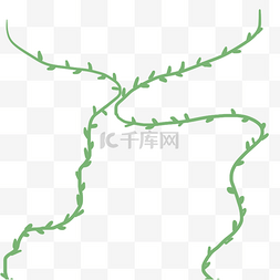 藤蔓枝条免抠素材图片_绿色的藤蔓植物免抠图